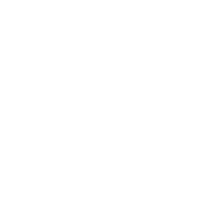 complete constuction service light