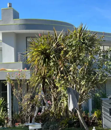 render crack repair service